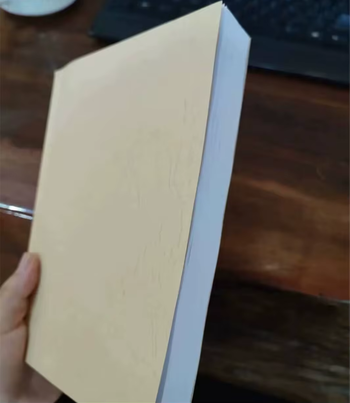 Red Dead Redemption Original Arthur's Leather Journal - Simple Paper Cover Available at 2Fast2See.co