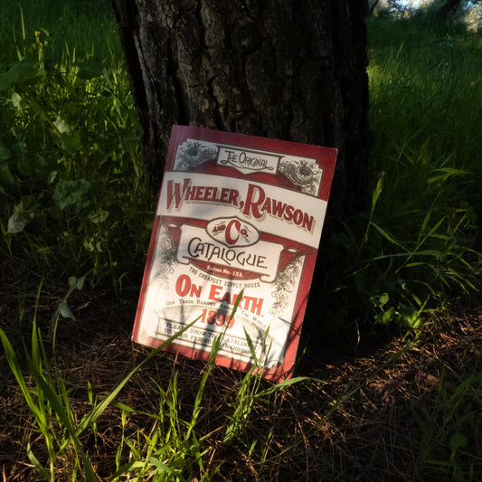 Red Dead Redemption 2 Store Catalog Manual Book