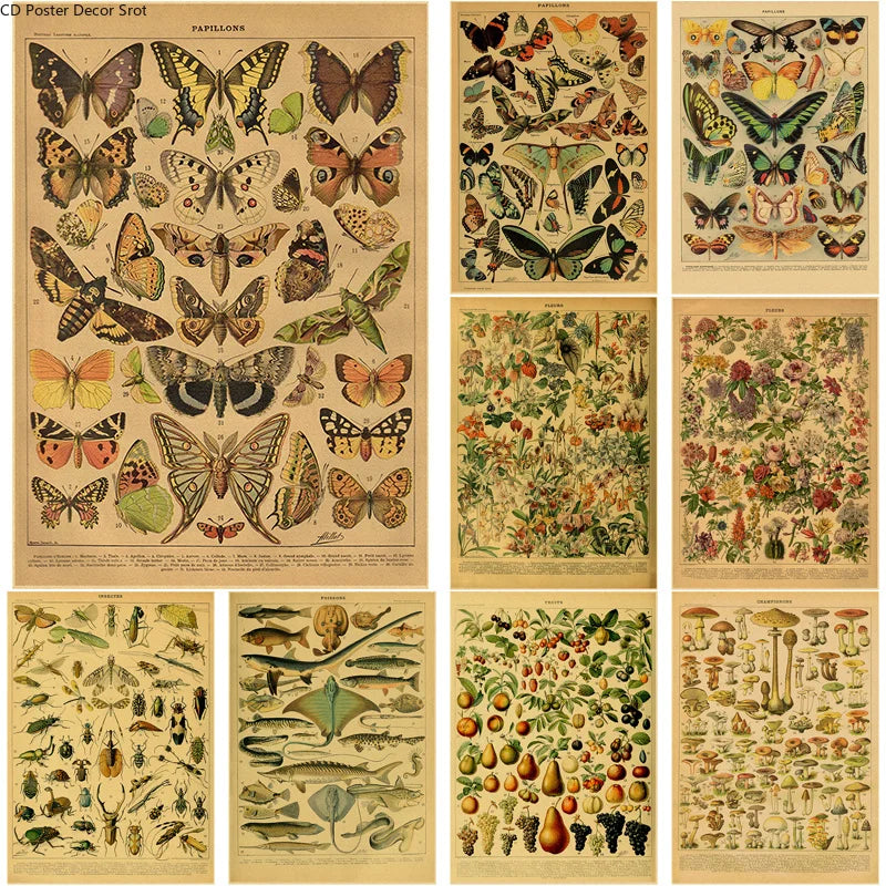 Vintage Butterfly Insects Flowers Mushrooms Posters - Available at 2Fast2See.co