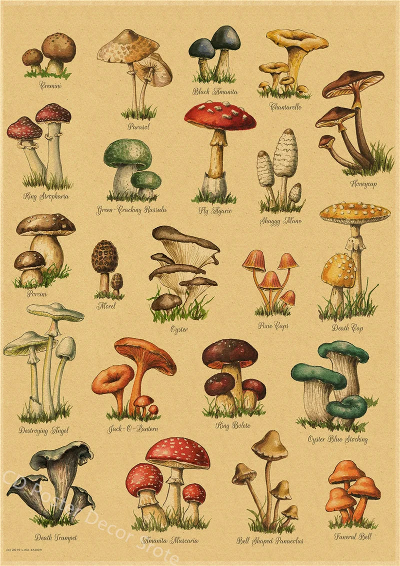 Vintage Butterfly Insects Flowers Mushrooms Posters - 22 / A4 Available at 2Fast2See.co
