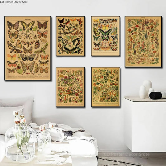 Vintage Butterfly Insects Flowers Mushrooms Posters - Available at 2Fast2See.co
