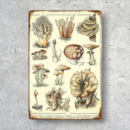 Endure & Survive The Last Of Us Cordyceps Mushrooms Metal Wall Sign - Clear / 14x20cm Available at 2Fast2See.co