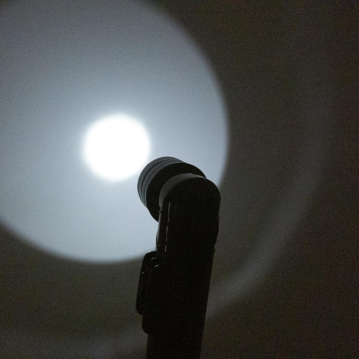 The Last of Us Abby's Flashlight Replica with Game Inspired Filters