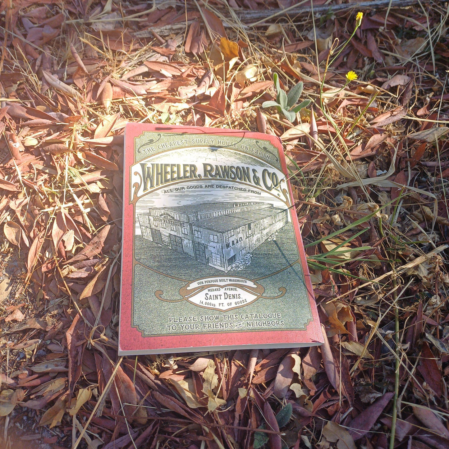 Red Dead Redemption 2 Wheeler Rawson & Co. Catalogue Replica