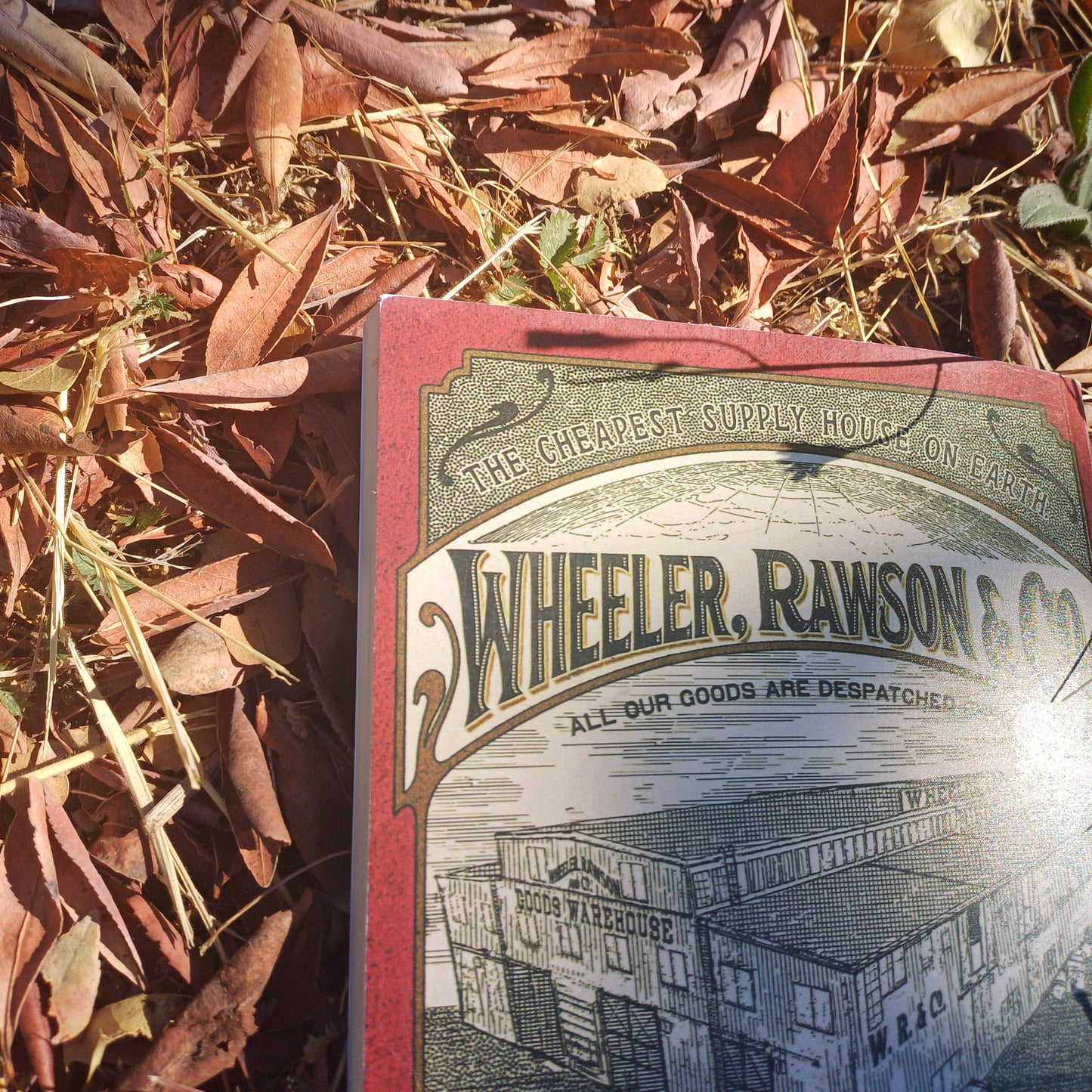 Red Dead Redemption 2 Wheeler Rawson & Co. Catalogue Replica