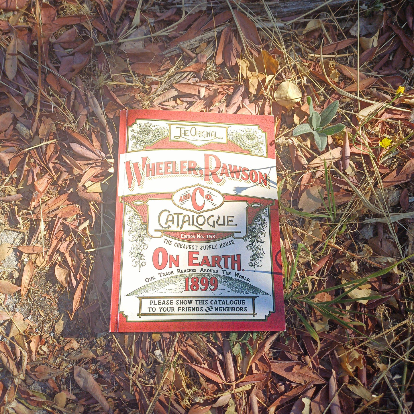 Red Dead Redemption 2 Wheeler Rawson & Co. Catalogue Replica