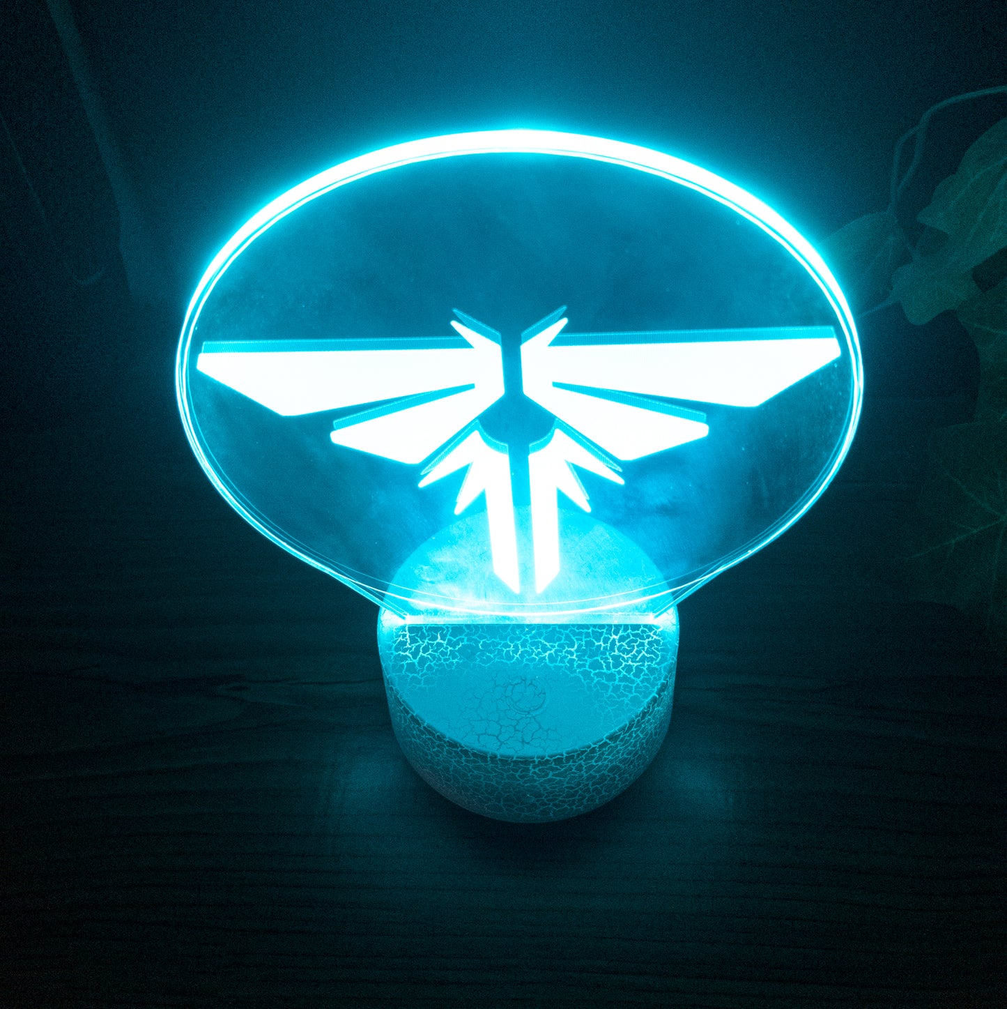 The Last of Us Firefly 3D RGB Night Lamp With Controller - Available at 2Fast2See.co