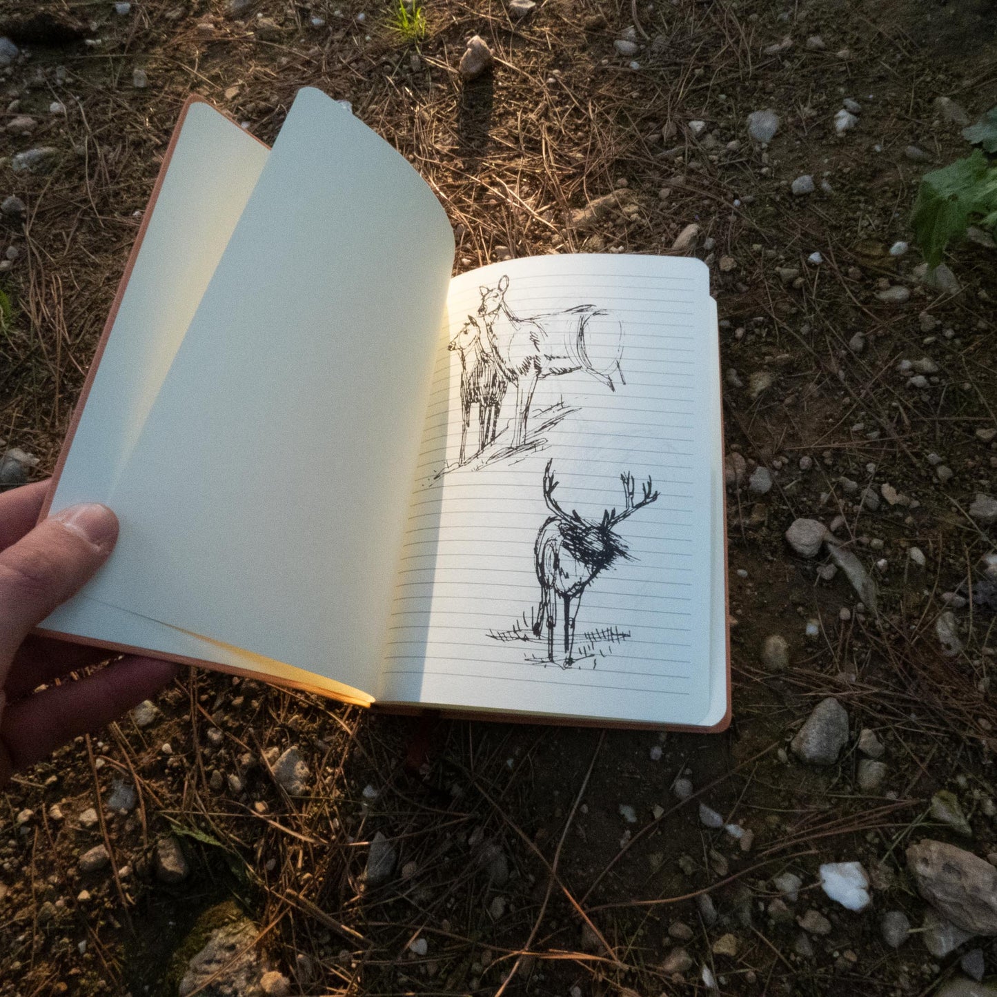 Tlou Ellie's Notebook / Journal With Personal Notes and Leather Cover