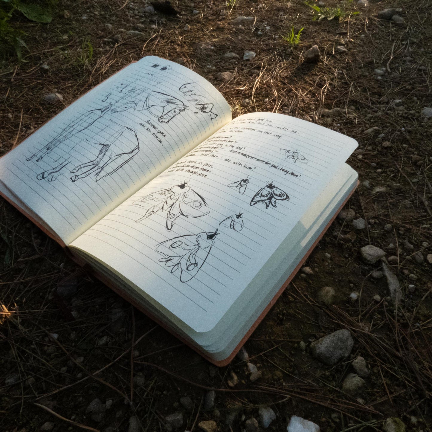 Tlou Ellie's Notebook / Journal With Personal Notes and Leather Cover