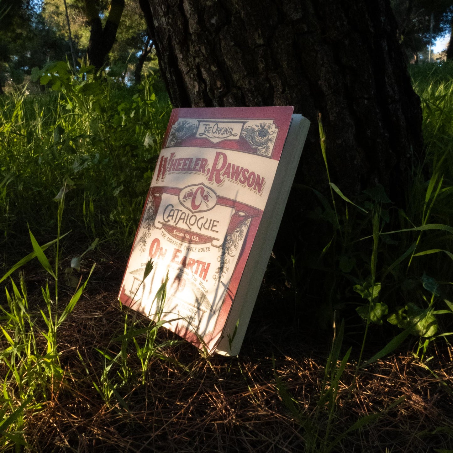 Red Dead Redemption 2 Wheeler Rawson & Co. Catalogue Replica