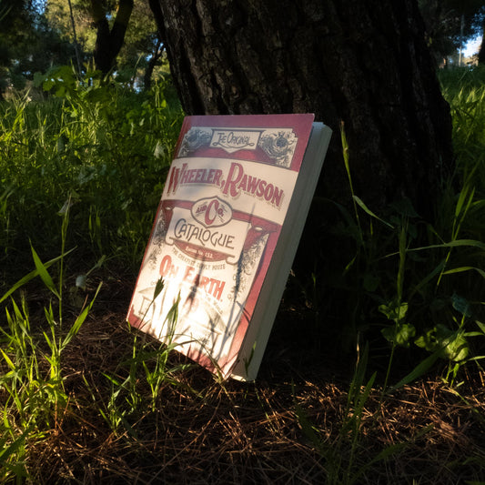 Red Dead Redemption 2 Store Catalog Manual Book