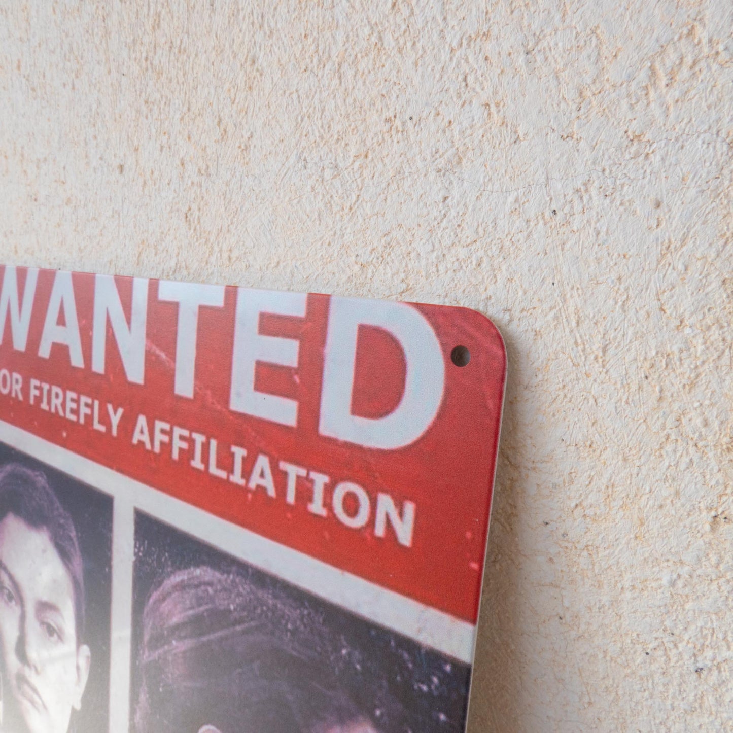 The Last of Us Abby Anderson Wanted Metal Wall Sign