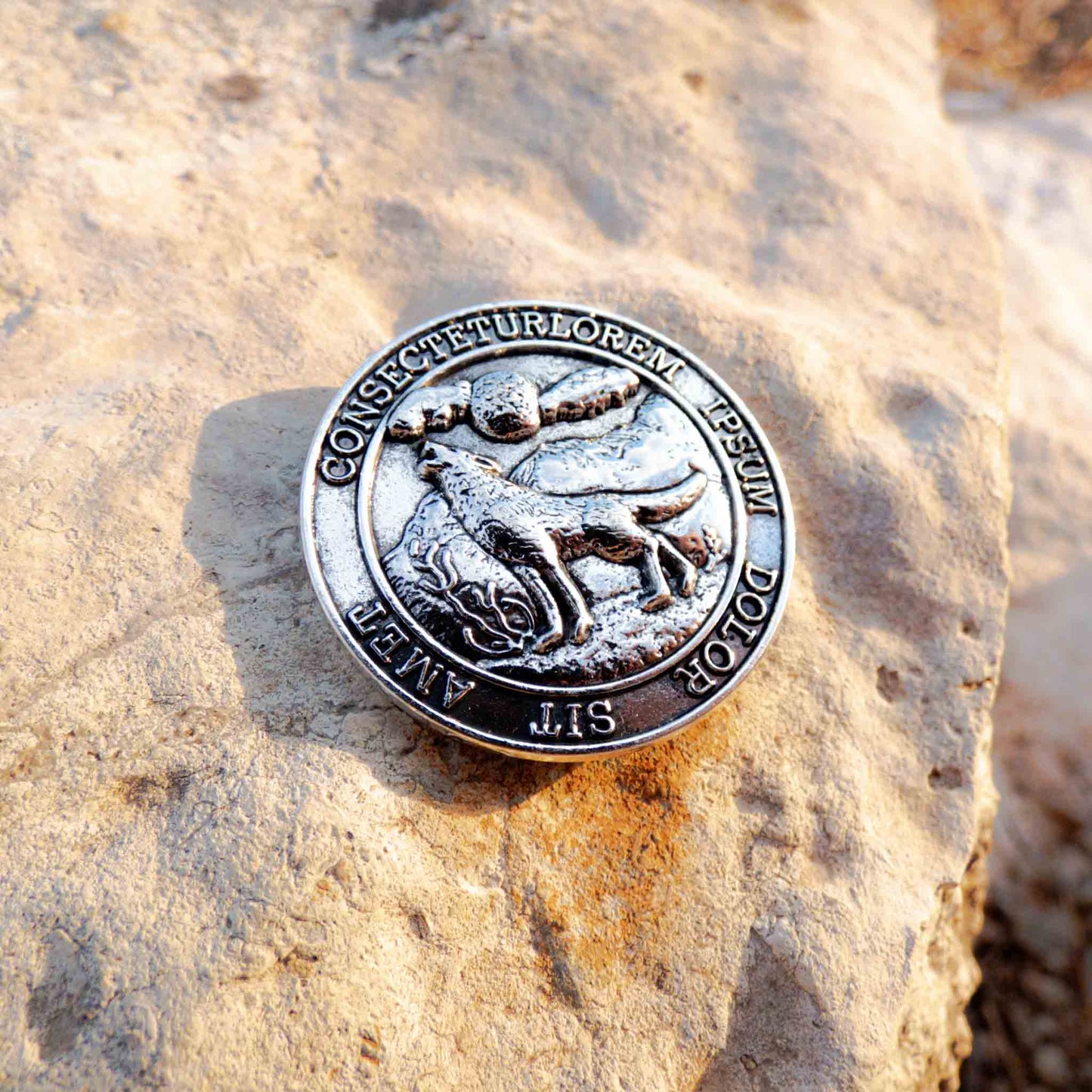 Resident Evil 8 Village Coin RE8 Cosplay Medal