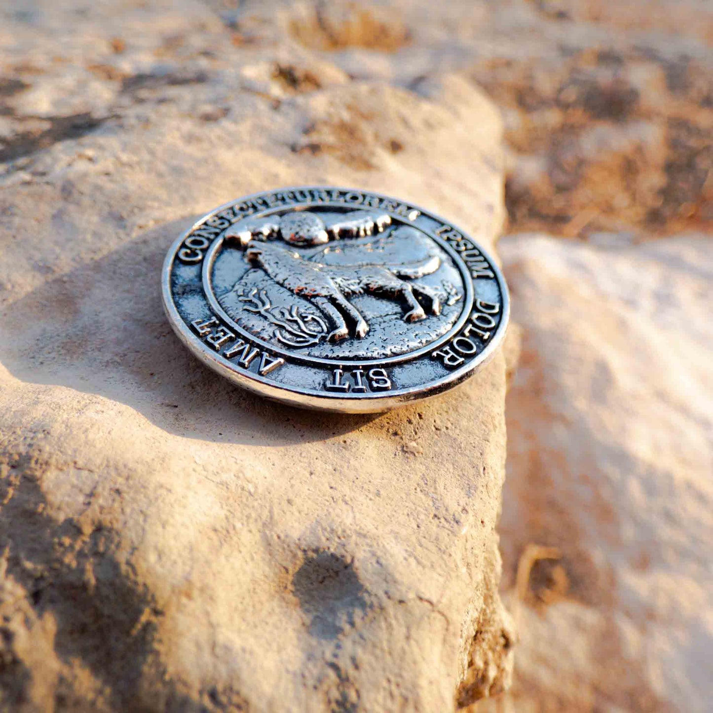 Resident Evil 8 Village Coin RE8 Cosplay Medal