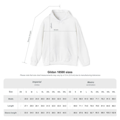 Red Dead Redemption 2 The Man The Plan The Rat Gaming Hoodie