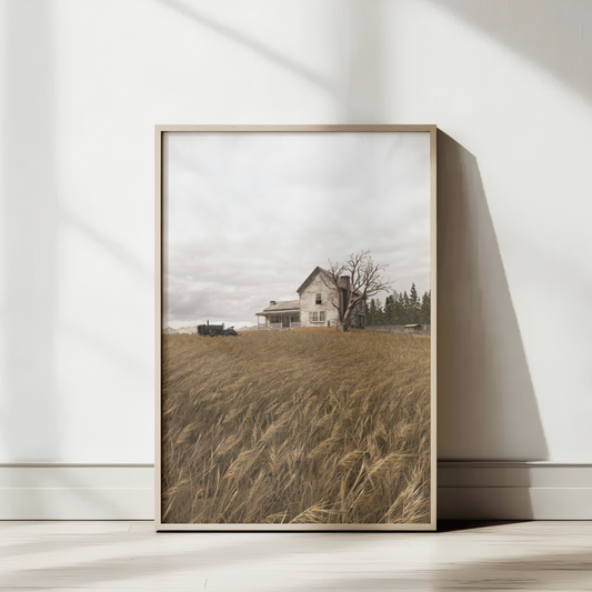 The Last of Us The Farm Poster Wall Decoration