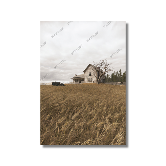 The Last of Us The Farm Poster Wall Decoration